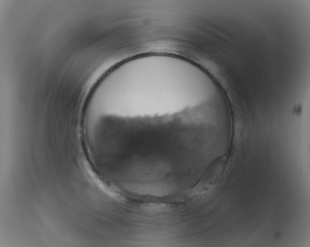 X0000113231331200910081356