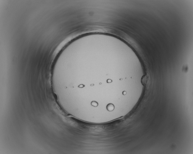 X0000113231332200910081356