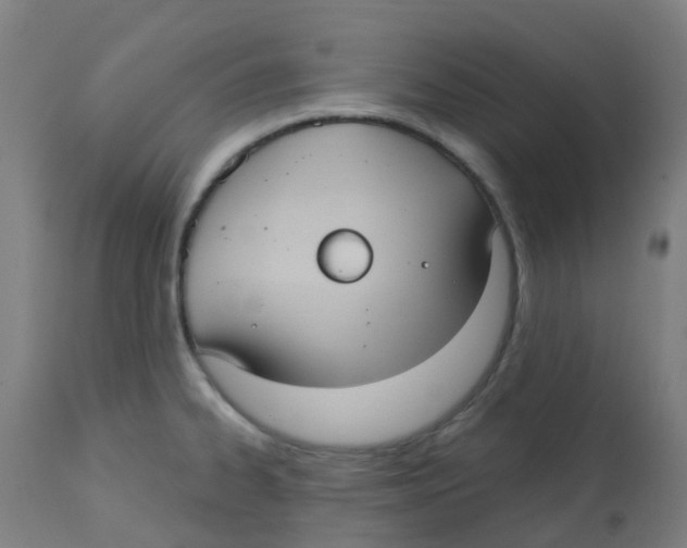 X0000113231334200910081356