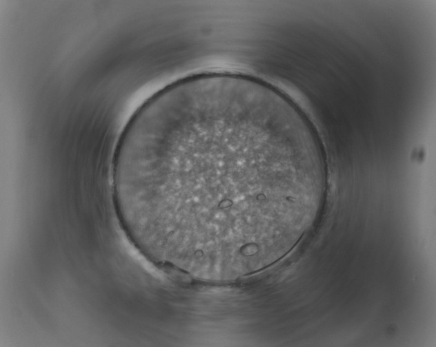 X0000113231335200910081356