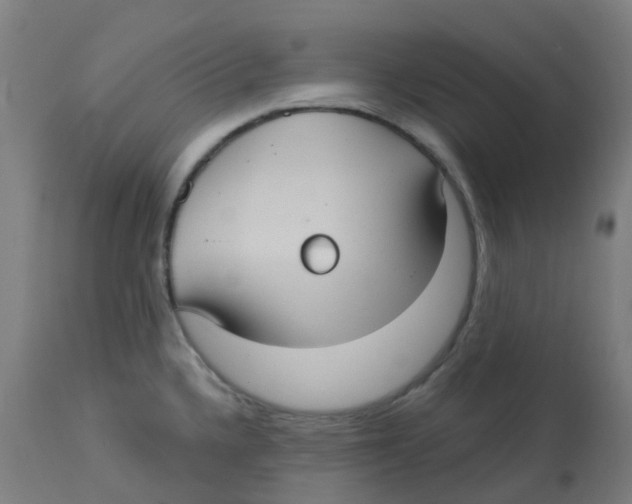 X0000113231336200910081356