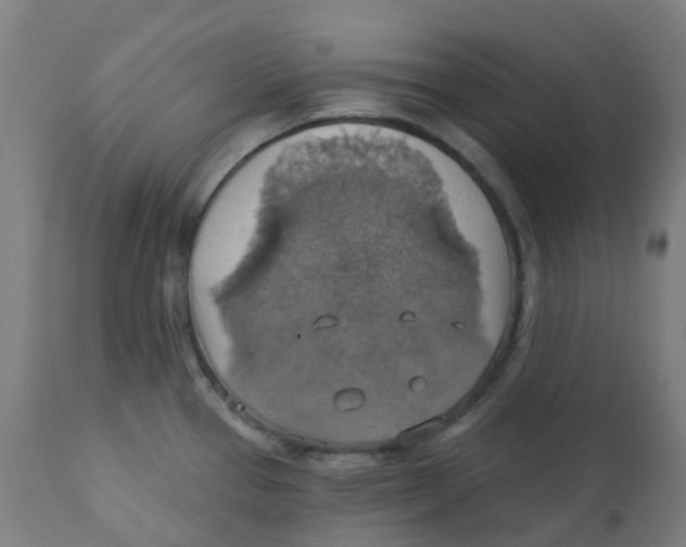 X0000113231337200910081356