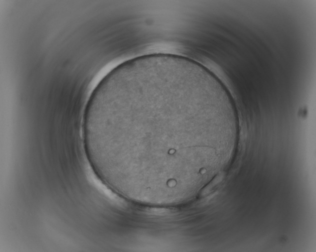 X0000113231339200910081356