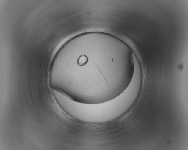 X0000113231340200910081356