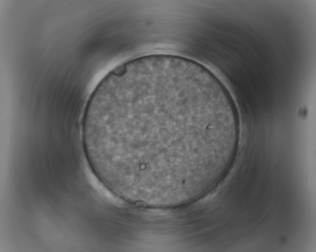 X0000113231341200910081356