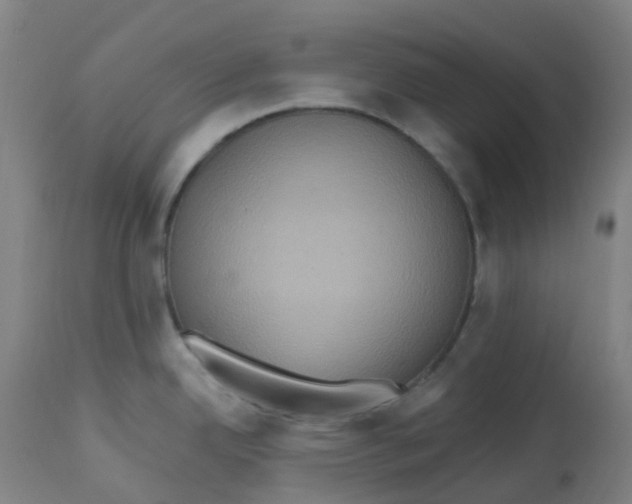 X0000113231342200910081356