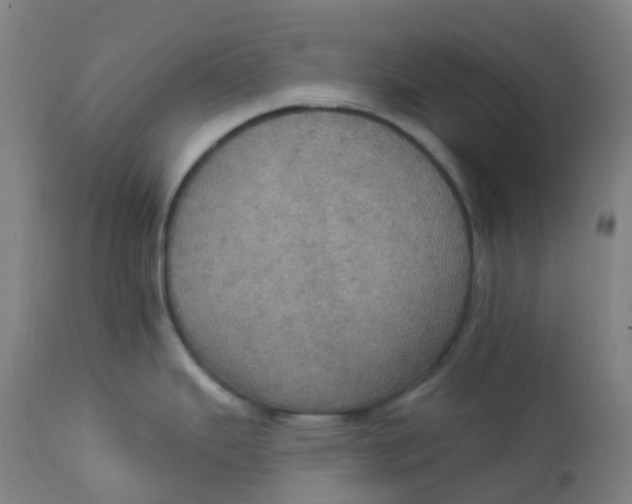 X0000113231343200910081356