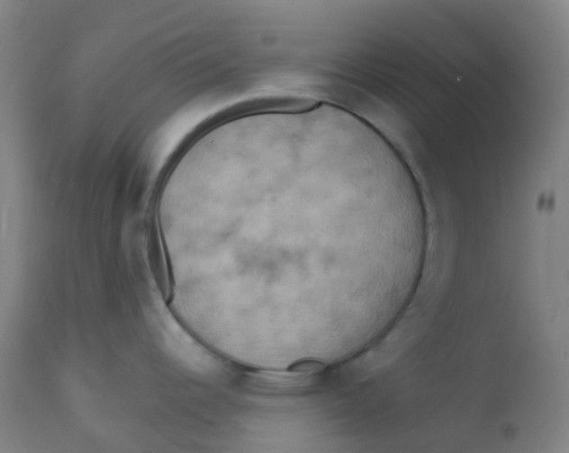 X0000113231344200910081356