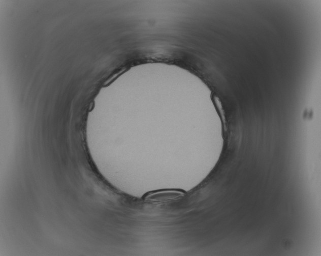 X0000113231345200910081355