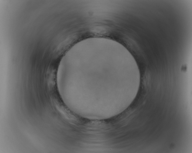 X0000113231346200910081355