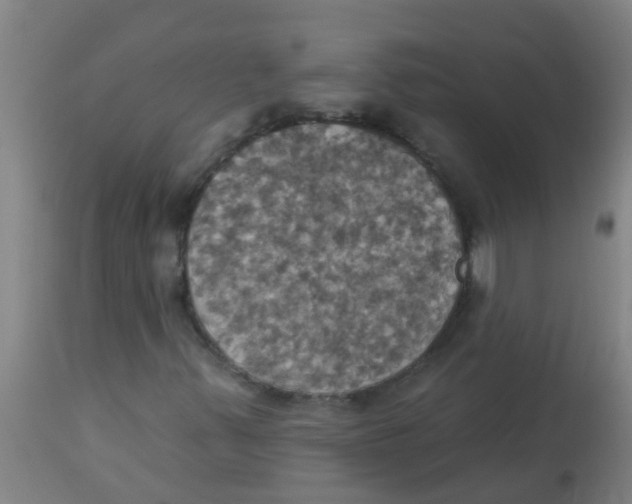 X0000113231347200910081355