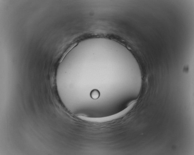 X0000113231348200910081355