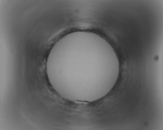 X0000113231349200910081355