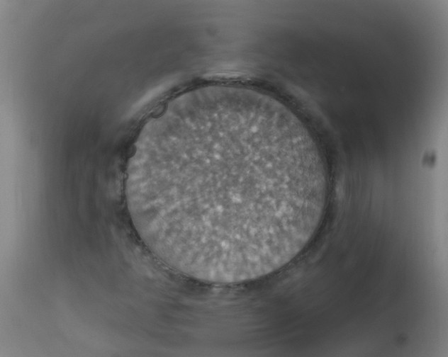 X0000113231350200910081355