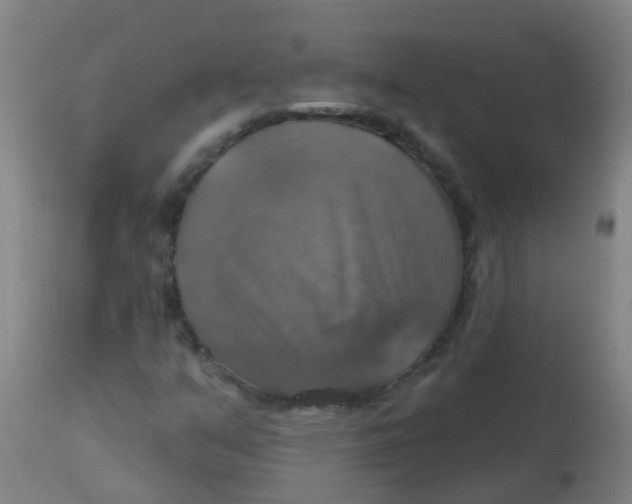 X0000113231351200910081355