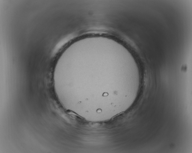 X0000113231352200910081355