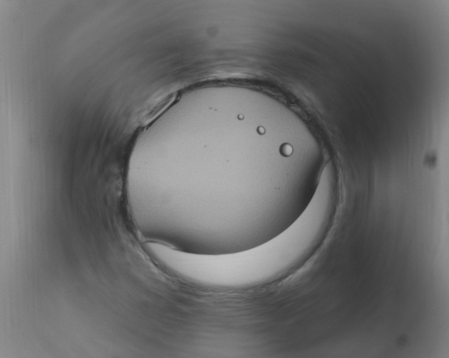 X0000113231353200910081355