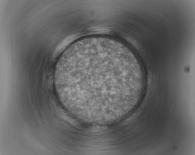 X0000113231354200910081355