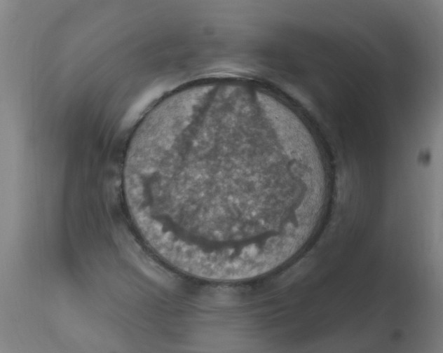 X0000113231355200910081355