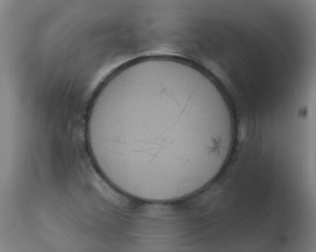 X0000113231356200910081355