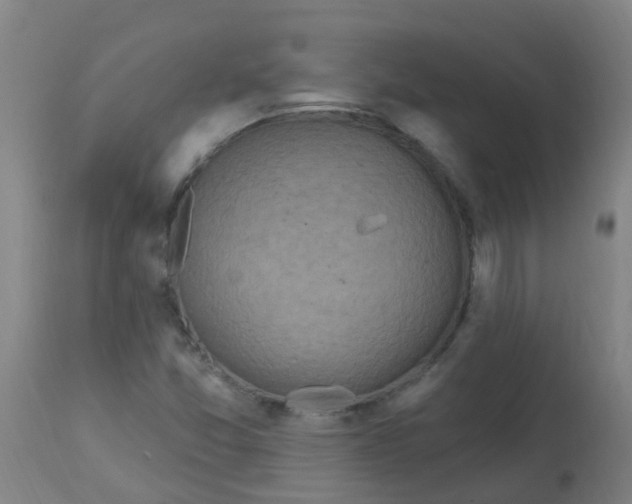 X0000113231357200910081355