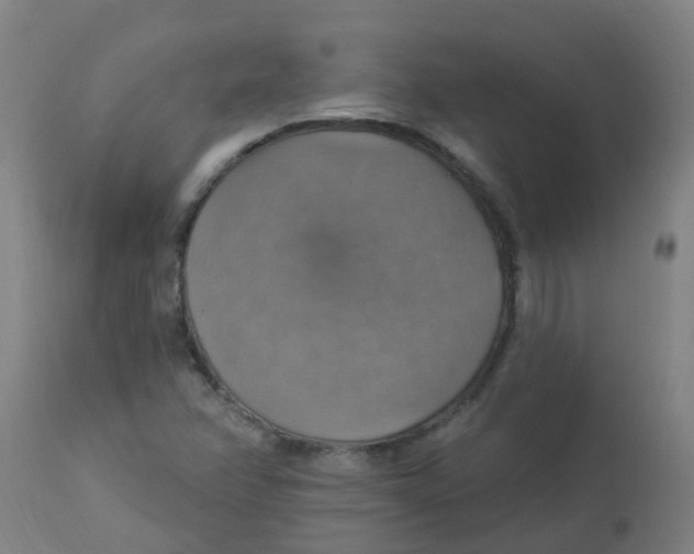 X0000113231358200910081355