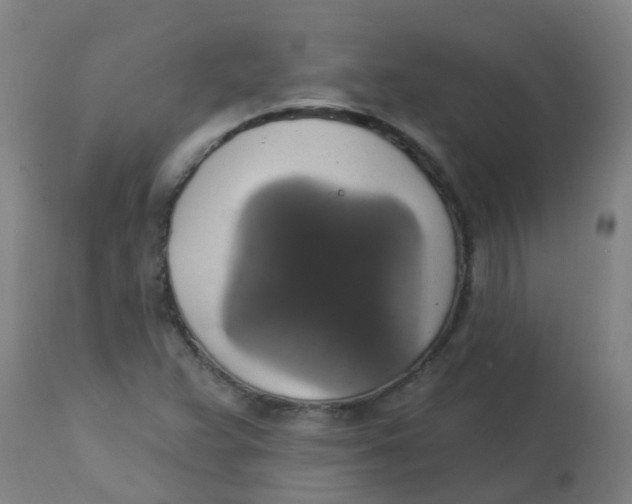 X0000113231359200910081355