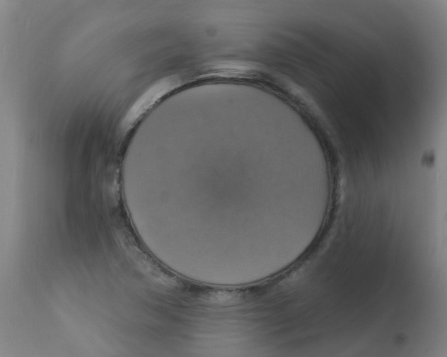 X0000113231362200910081355