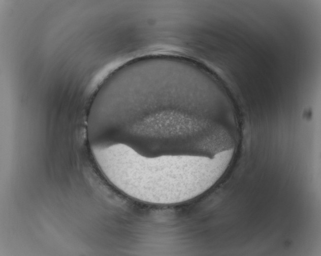 X0000113231363200910081355