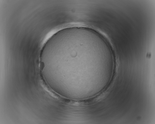 X0000113231365200910081355