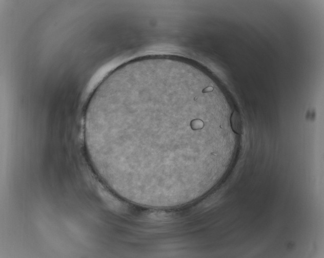 X0000113231366200910081355