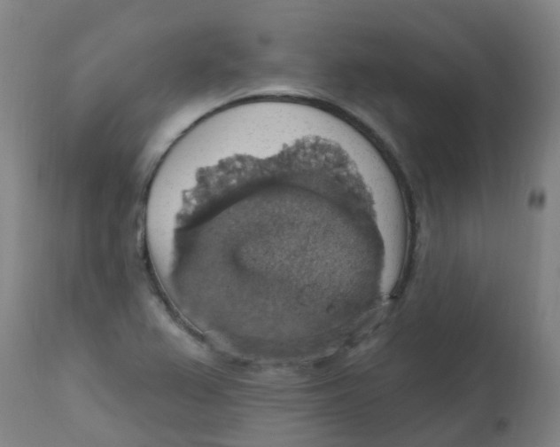 X0000113231367200910081355