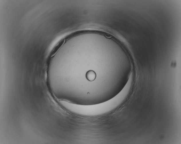 X0000113231368200910081355