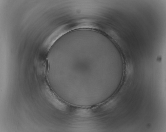 X0000113231369200910081355