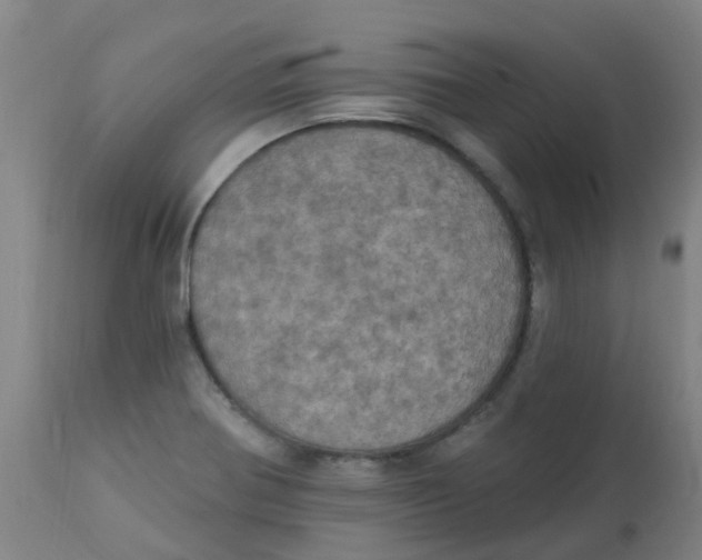 X0000113231370200910081355