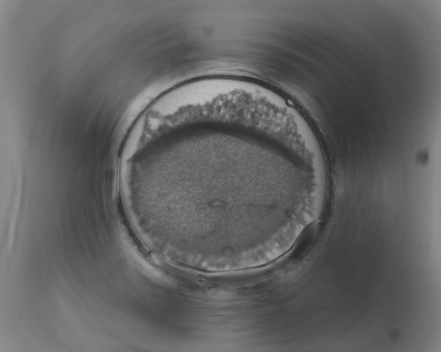 X0000113231371200910081355