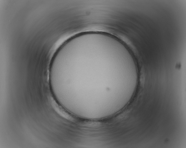 X0000113231372200910081355