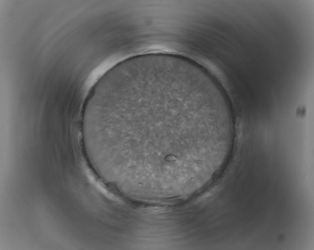 X0000113231373200910081355