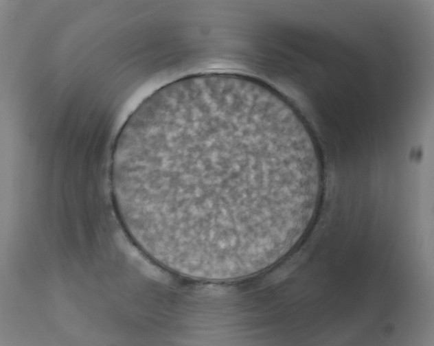 X0000113231374200910081355