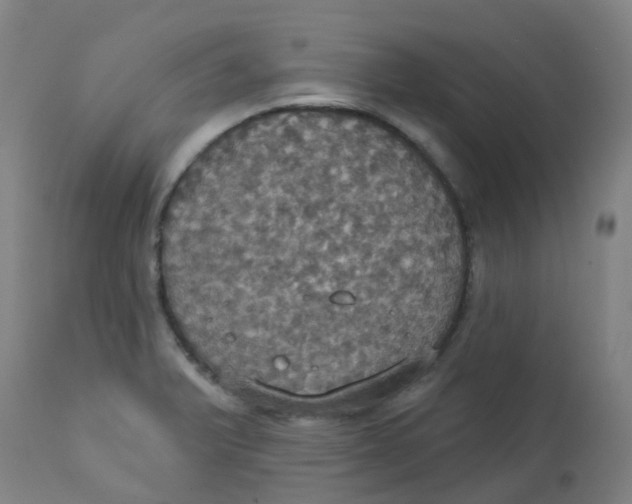 X0000113231375200910081355