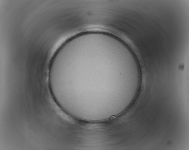 X0000113231376200910081355