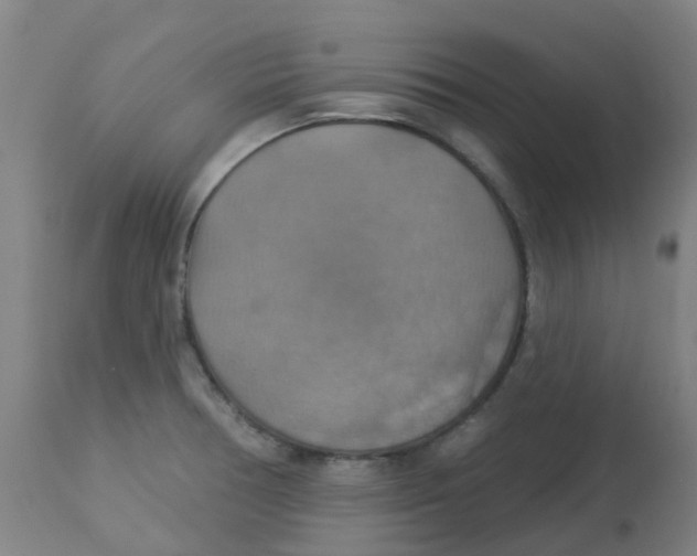 X0000113231378200910081355