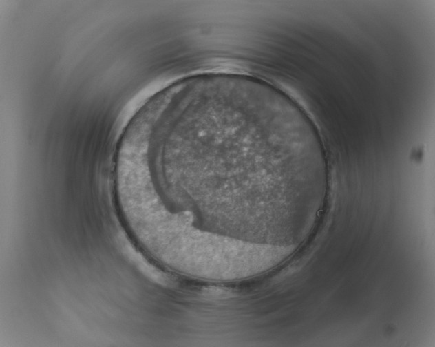 X0000113231379200910081355