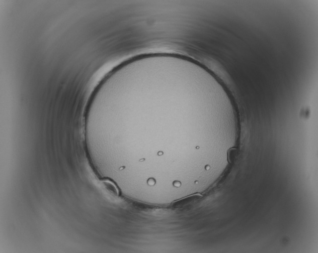 X0000113231380200910081355