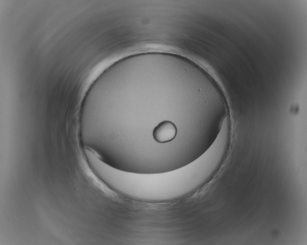 X0000113231381200910081355