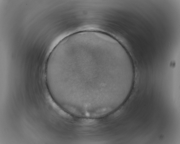 X0000113231382200910081355