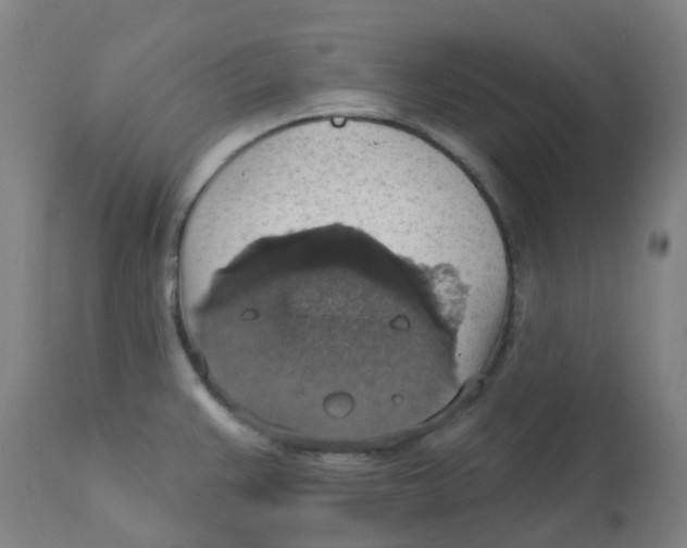 X0000113231383200910081355