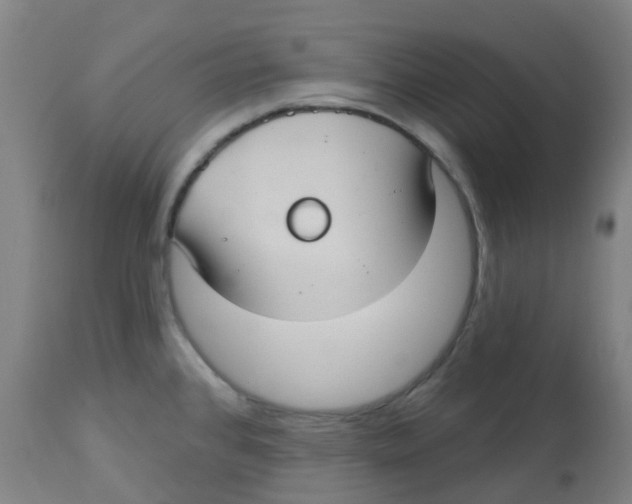 X0000113231384200910081355