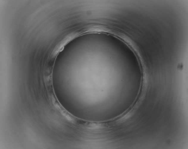 X0000113231385200910081355