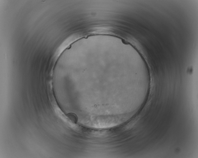 X0000113231386200910081355